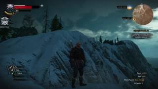 The Witcher 3 İlk Bakış - Sistemim Kaldırırmı [TÜRKÇE]