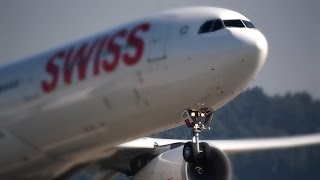 Panasonic Leica 100-400 mm OIS - Super-Telezoom für MFT-Kameras "Test"