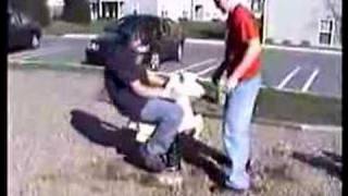 Worlds Most Painful and Crazyass nuts-shot
