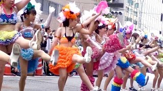 2016神戸まつり・サンバストリート・神戸サンバチーム