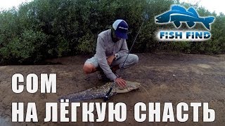 Вываживание сома на лёгкую снасть. [HD 1080]