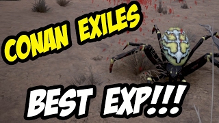 CONAN EXILES - The Best EXP Spot - LEVEL UP FAST