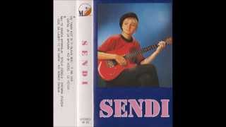 Sendi - Ti ne veš