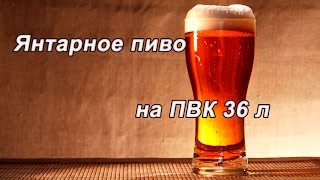 Янтарное пиво на ПВК 2016. Доктор Губер