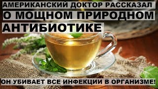 МОЩНЫЙ ПРИРОДНЫЙ АНТИБИОТИК,который УБИВАЕТ ВСЕ ИНФЕКЦИИ В ОРГАНИЗМЕ!
