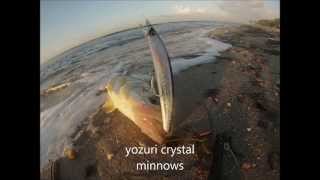 Snook Fishing with the Yozuri Crystal Minnow