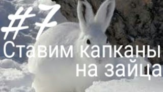 Ставим капканы на зайца|Put traps on the rabbit