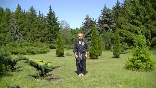 Цигун видео уменьшение хруста в коленях