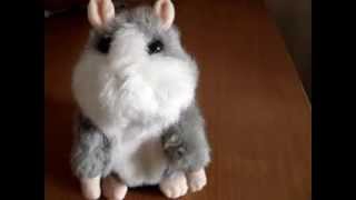 Говорящий хомячок (hamster)-Фейк