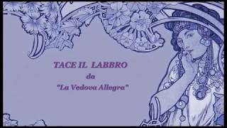 Franz Lehar " Tace il Labbro " da La Vedova Allegra   cello e piano