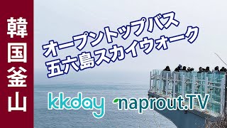 【韓国ひとり旅】 オープントップバスで市内観光!!絶景の五六島スカイウォークに行ってみた!釜山シティツアーバス KKday【PR】/Busan Korea 2019 Day2-1