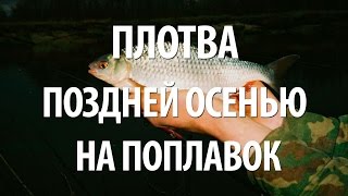 РЫБАЛКА ПОЗДНЕЙ ОСЕНЬЮ на ПЛОТВУ с ПОПЛАВОЧНОЙ ОСНАСТКОЙ