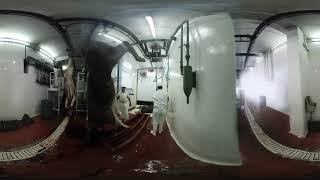 Matadero Vacas 360 VR  - Voicot - Argentina