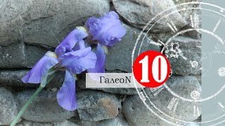 ГалеоN 10. Заметки на полях. Граццано Висконти, сыр с червями казу марцу, Вернон, Живерни.