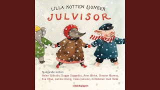 Hej tomtegubbar