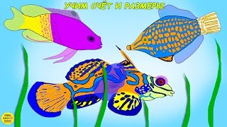 Учим счёт и размеры в океане! Развивающий мультик для самых маленьких