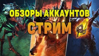 ?Завтра х2. Обзор аккаунтов с ЧАТА - Raid Shadow Legends Verdan