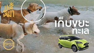 เก็บขยะทะเลกับหมา - มหึหมา EP32