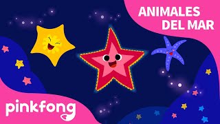 Estrella de Mar | Animales del Mar | Pinkfong Canciones Infantiles