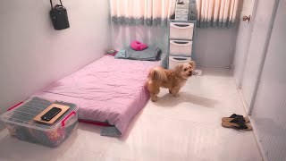 Kamar seorang Minimalist | Hidup minimalis