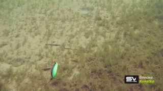 Игра блесны Koketka