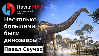 Насколько большими были динозавры? – палеонтолог Павел Скучас | Научпоп