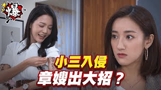 《多情大爆爆》多情城市 EP283 小三入侵 章嫂出大招？