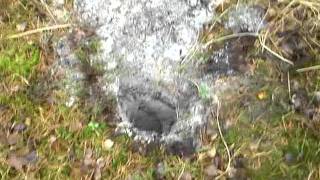 Euroace Nel Tornado 2011