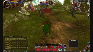 Runes of magic Warrior/Knight DPS