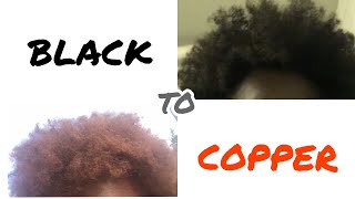 BLACK TO COPPER | Clairol Texture & Tones 8RO | No Hair Damage | Natural Hair | Mochaa Assata