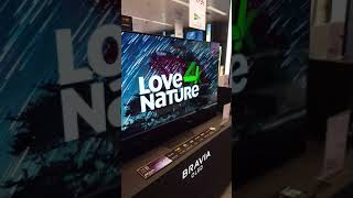 Tv,Sony Af9 oled gama premiun en oled .