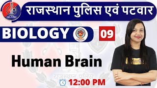 Class-09|| Rajasthan Police | Rajasthan Patwar || BIOLOGY || By Amrita Mam ||Human Brain