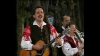 Ansambel Vilija Petriča - Moja žena