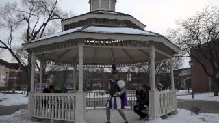 Harlem Shake (WSU Version)