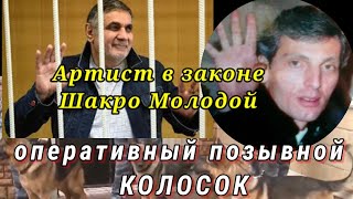 Шакро Молодой с оперативным позывным ФСБ "КОЛОСОК" & Бадри и Ко. СУЧЬИ ВОЙНЫ Ч. 1