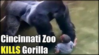 Cincinnati Zoo KILLS Gorilla to save Boy