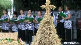 Nasz Lubin - Dożynki gminne w Ścinawie