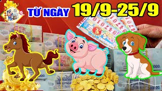 THẦN TÀI Chỉ Tay, 3 Tuổi Này Đánh Đến Đâu Thắng Đến Đấy, Ôm Trọn TIỀN TỶ, GIÀU CÓ Vào 7 Ngày Tới