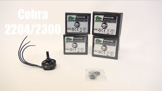 HPIGUY | Cobra 2204/2300KV 3Cell & 4Cell Thrust Testing