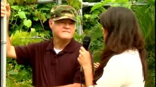 Uvas de Mesa, Puerto Rico,  Parte 1