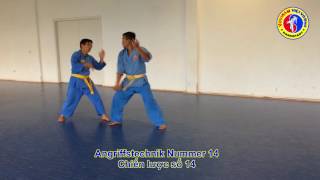 Angriffstechnik #14 mit Partner (Danh duoi chien luoc #14)