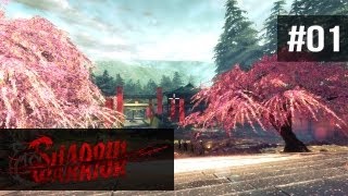 Shadow Warrior #1 - Mr Two Million Dollars