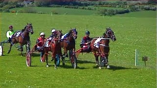 SYNOD INN HARNESS RACES 2000 BABY NOVICE RACE 2