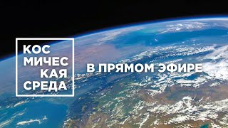Космическая среда № 309 в прямом эфире