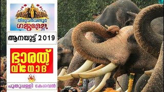 Anayootu | kerala Elephants | Thiruvanvandoor Gajamela 2019  | തിരുവന്‍വണ്ടൂര്‍ ഗജമേള