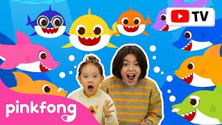Tiburón Bebé Más y Más | Pinkfong Canta & Baila | Canciones ​Infantiles | Pinkfong en español