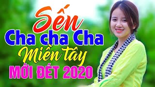 CHA CHA CHA trữ tình Miền Tây - âm nhạc Dân Ca trữ tình quê hương Miền Tây chọn lọc
