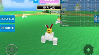 Ribbit simulator 2 #1