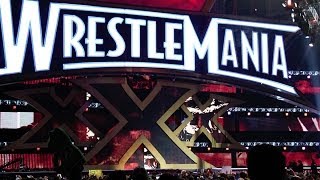 PICKLEBOY GOES TO WRESTLEMANIA XXX
