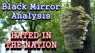 Black Mirror Analysis: Hated In The Nation